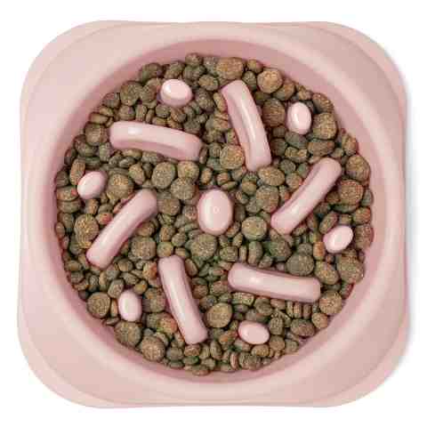 Miska Spowalniająca Jedzenie dla psa lub kota 500ml (wielowariantowość koloru)