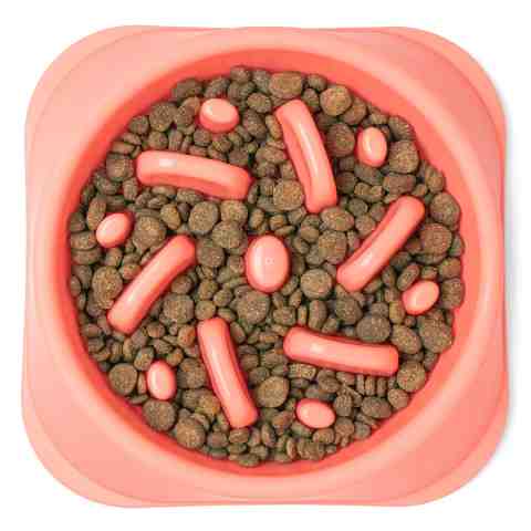 Miska Spowalniająca Jedzenie dla psa lub kota 500ml (wielowariantowość koloru)