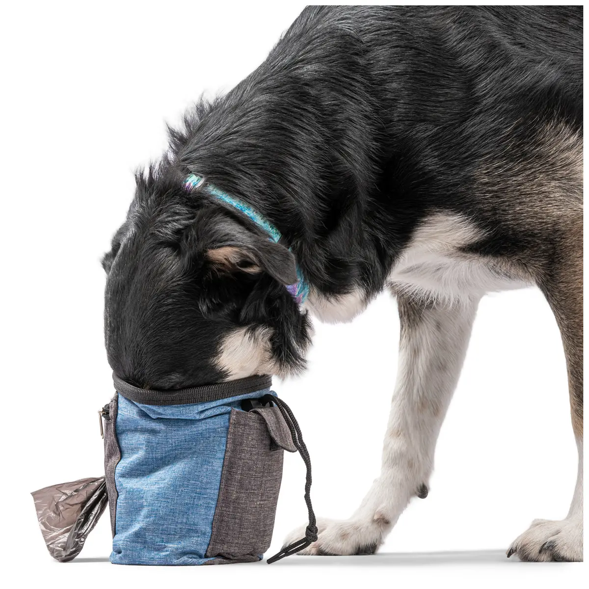 Saszetka na smakołyki dla psa Niebieska - obrazek 4