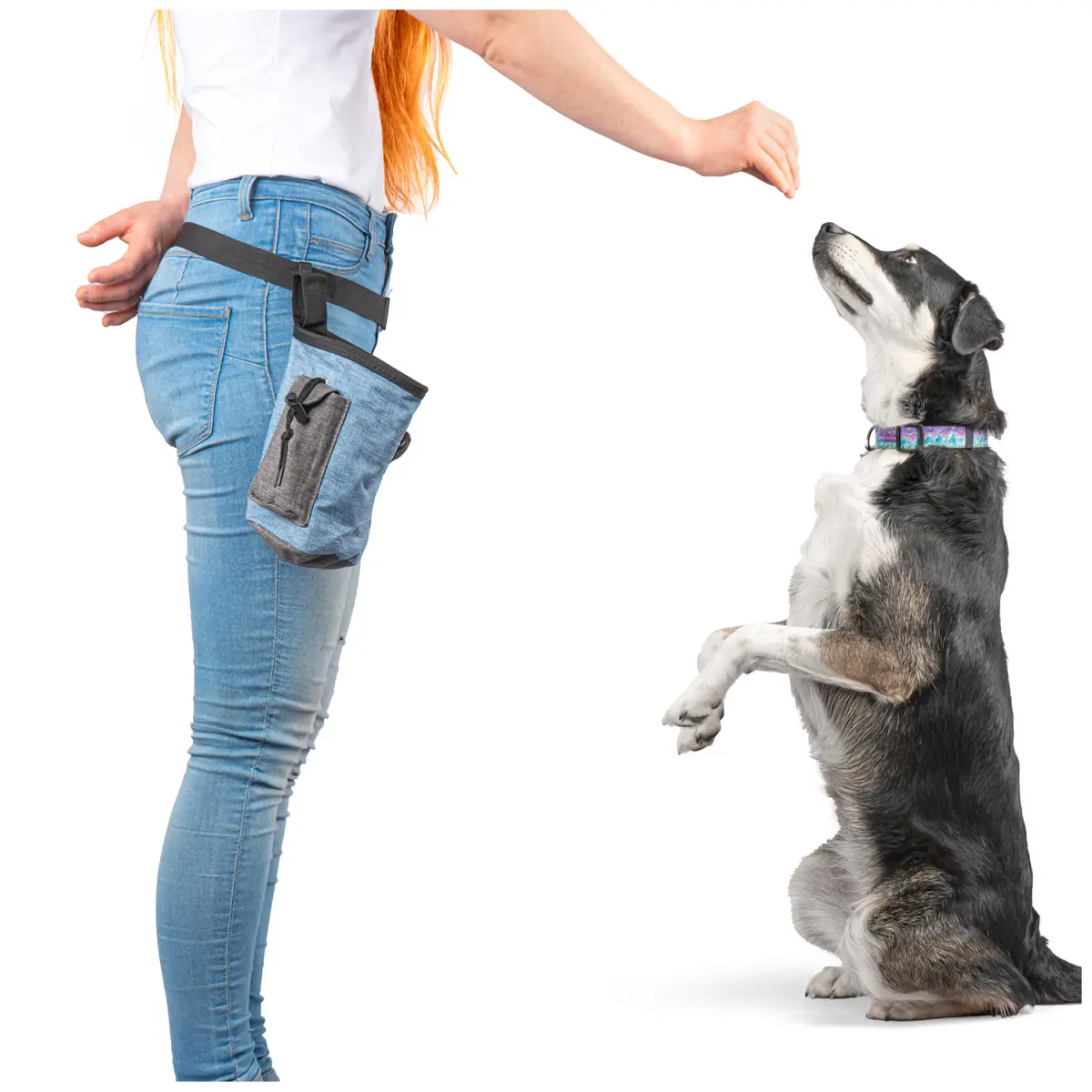 Saszetka na smakołyki dla psa Niebieska - obrazek 2