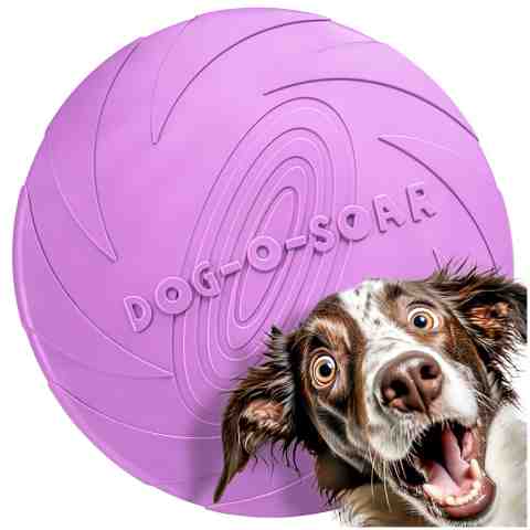 Frisbee do aportowania dla psa