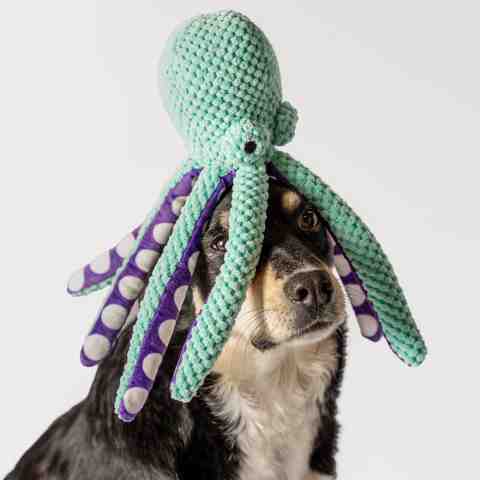 Alternative view of Pluszowa ośmiornica z piszczałką dla psa