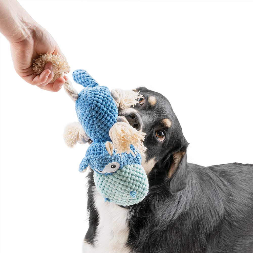 Pluszowy niebieski hipopotam z piszczałką dla psa - obrazek 2
