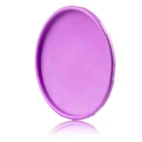 Alternative view of Frisbee do aportowania dla psa