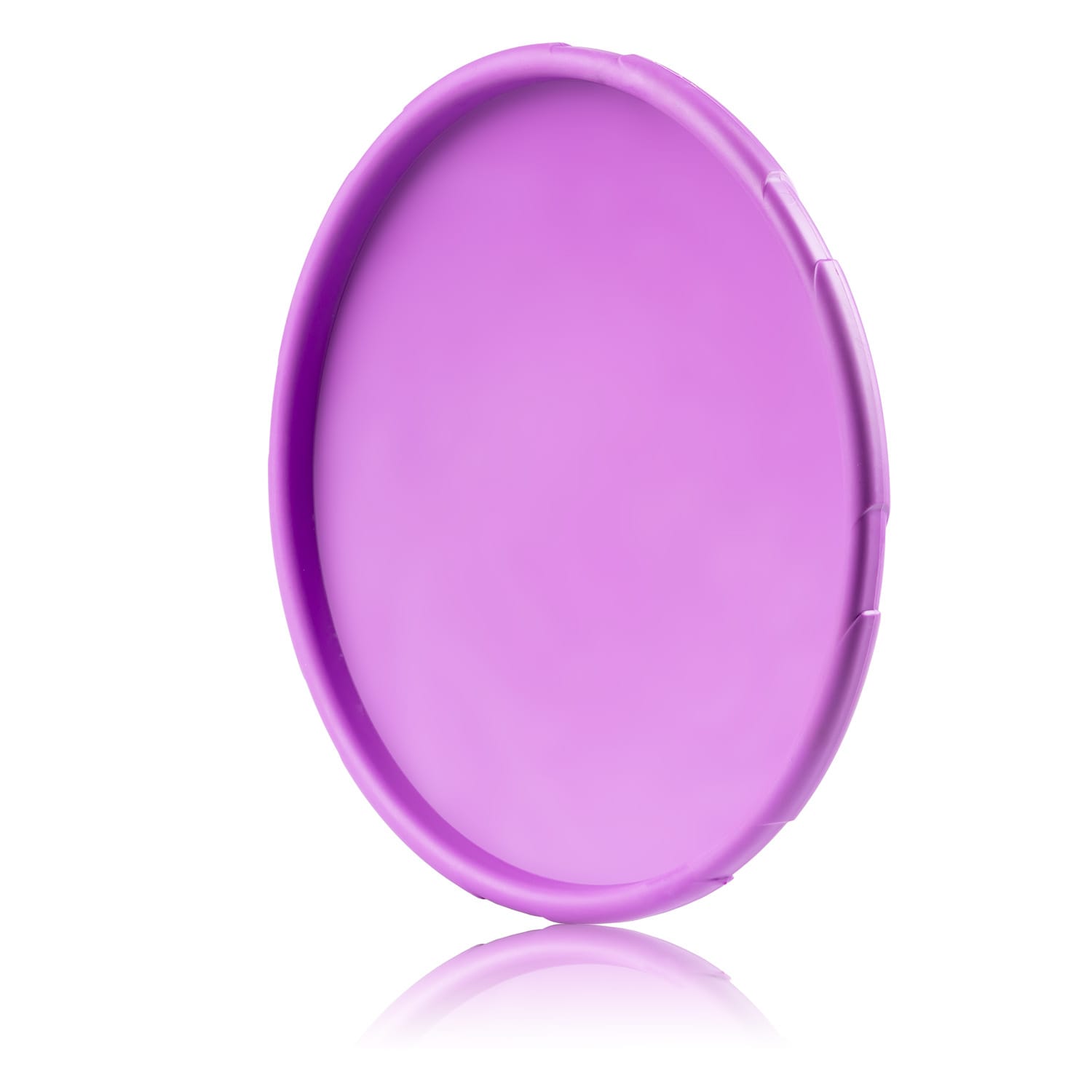 Frisbee do aportowania dla psa - obrazek 2