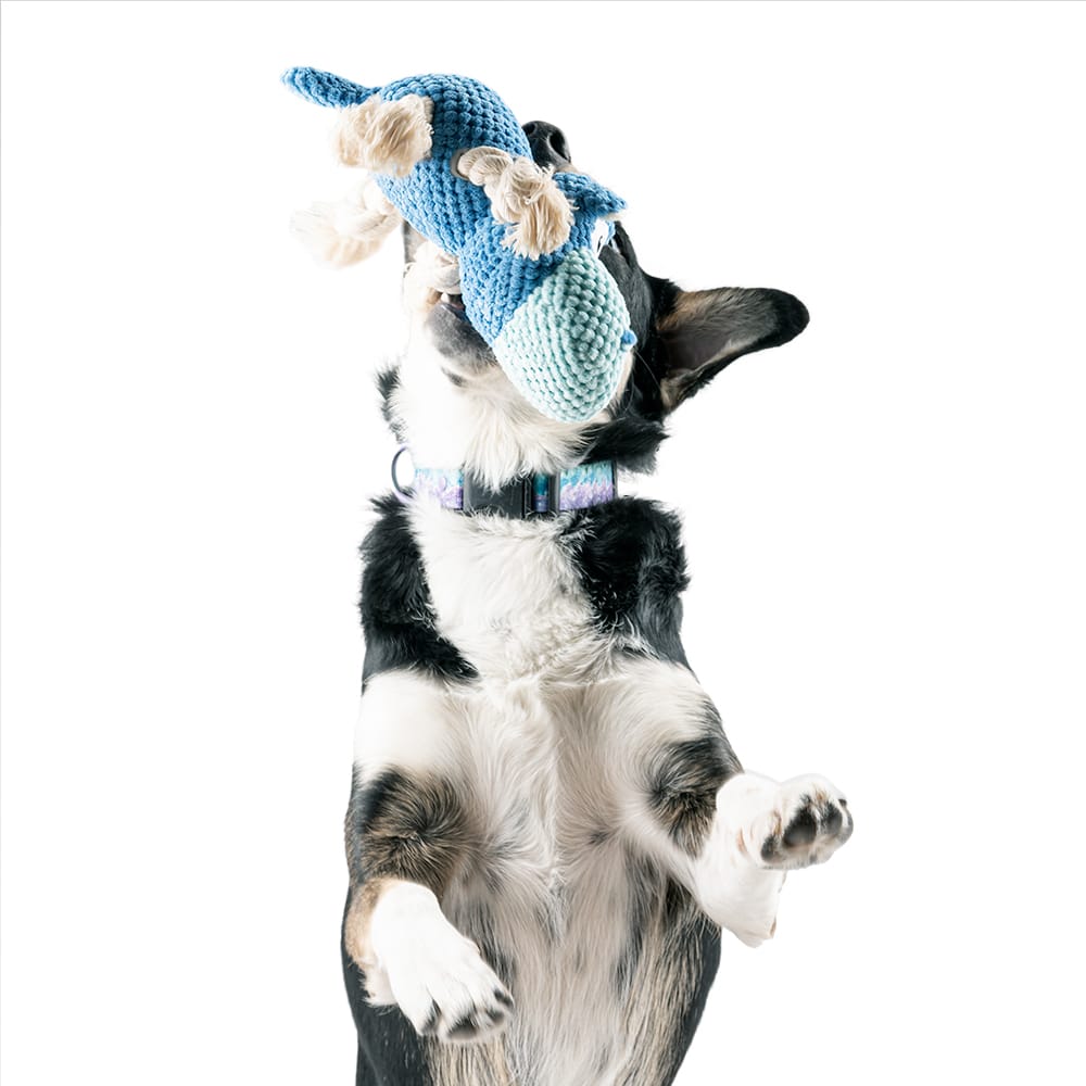 Pluszowy niebieski hipopotam z piszczałką dla psa - obrazek 5