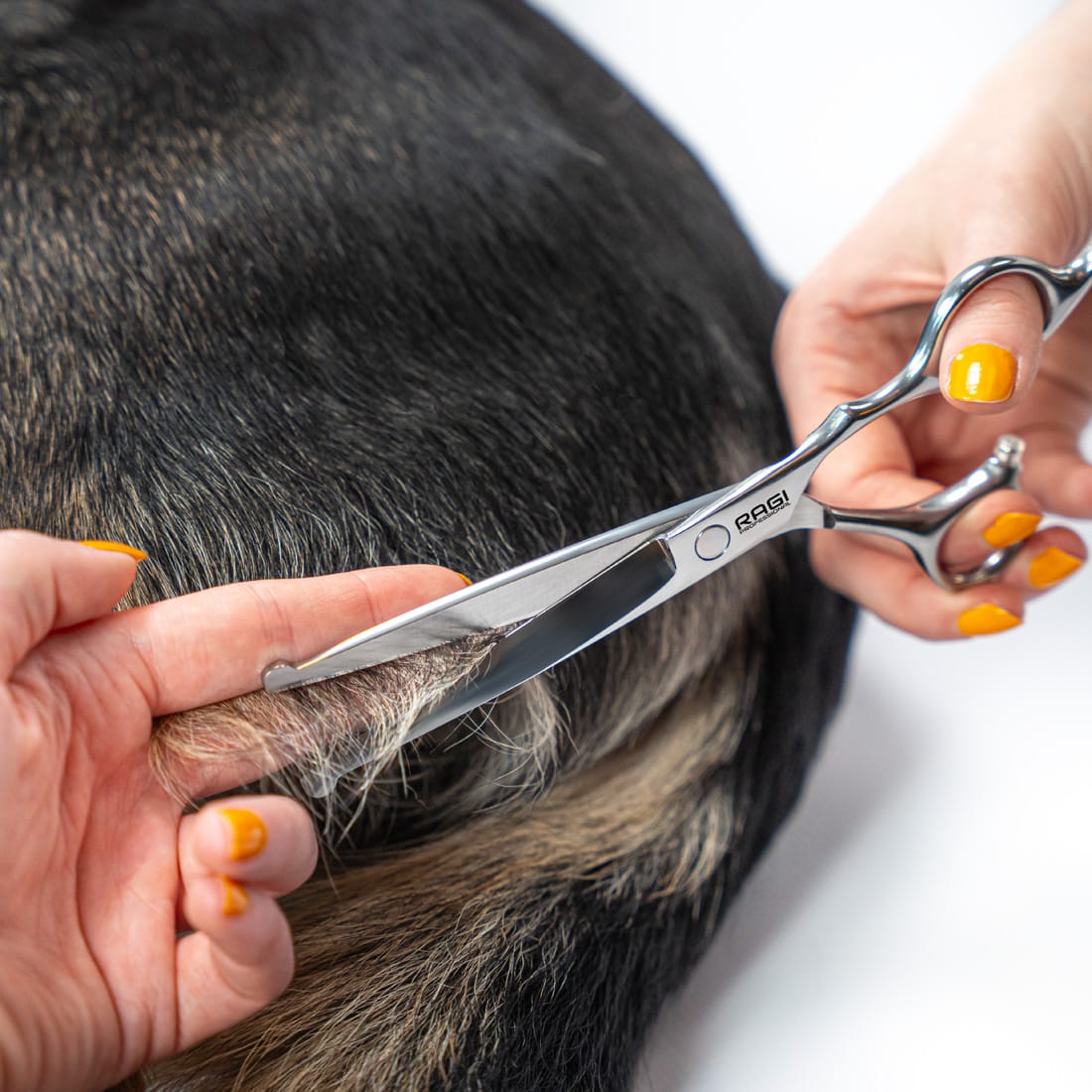 SREBRNE NOŻYCZKI do strzyżenia Psów ZESTAW do strzyżenia 3 rodzaje Nożyczek + Grzebień - obrazek 5