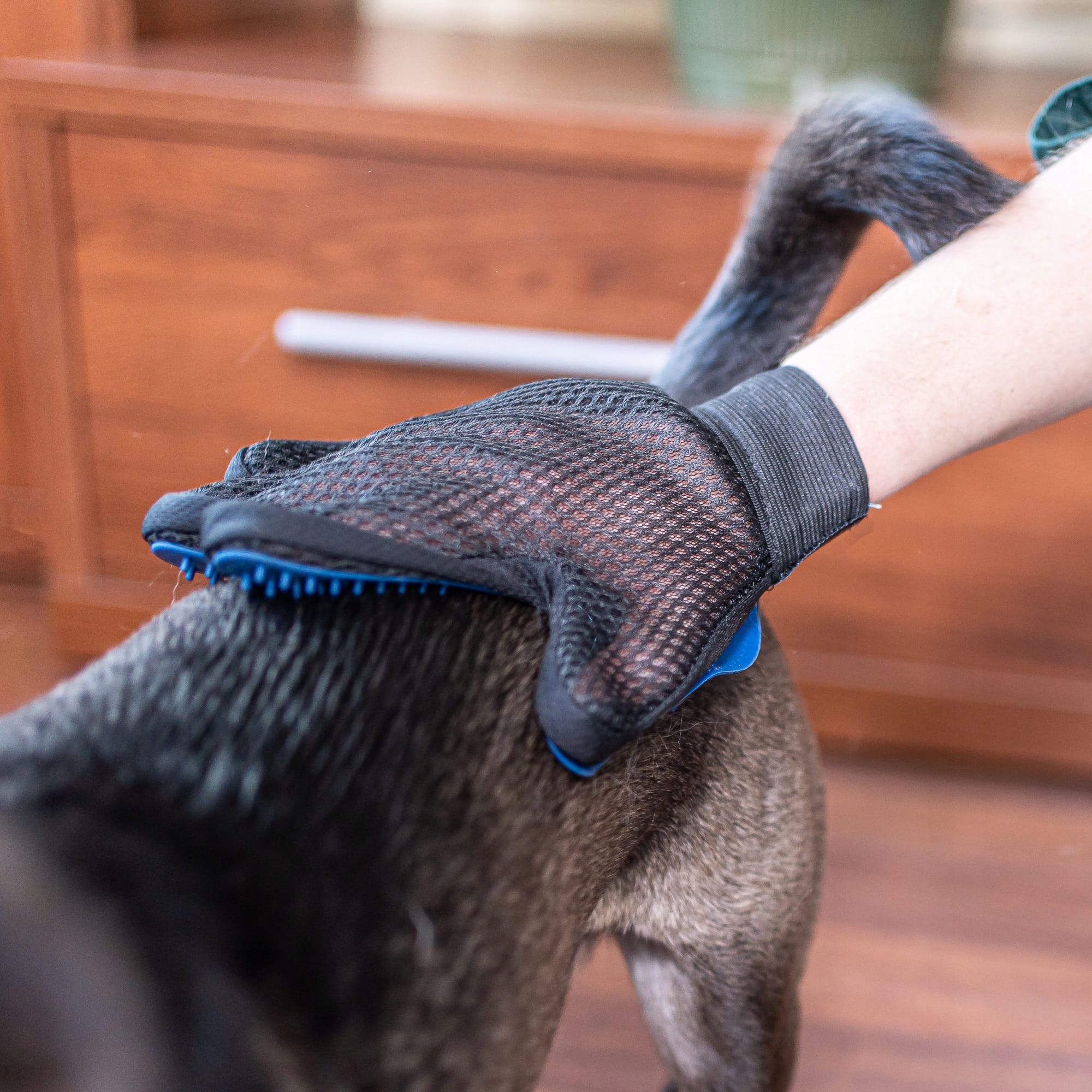 Rękawica do czesania psa - obrazek 3