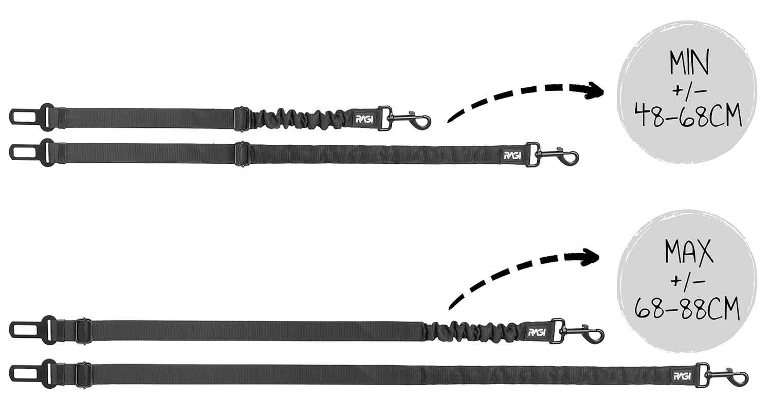 Pas bezpieczeństwa dla psa do samochodu z amortyzerem - obrazek 4
