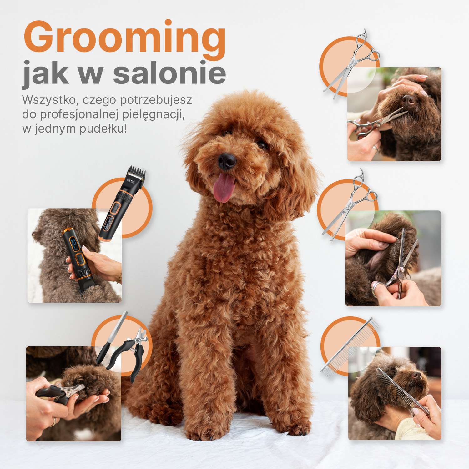 Maszynka do strzyżenia psa RAGI Profesjonalna Cicha Bezprzewodowa - obrazek 7