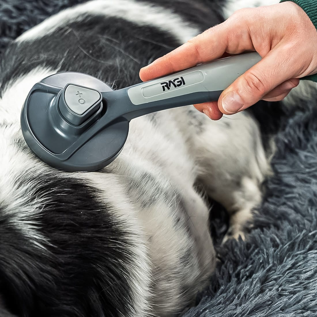 Szczotka samoczyszcząca do sierści dla psa, kota RAGI - obrazek 6