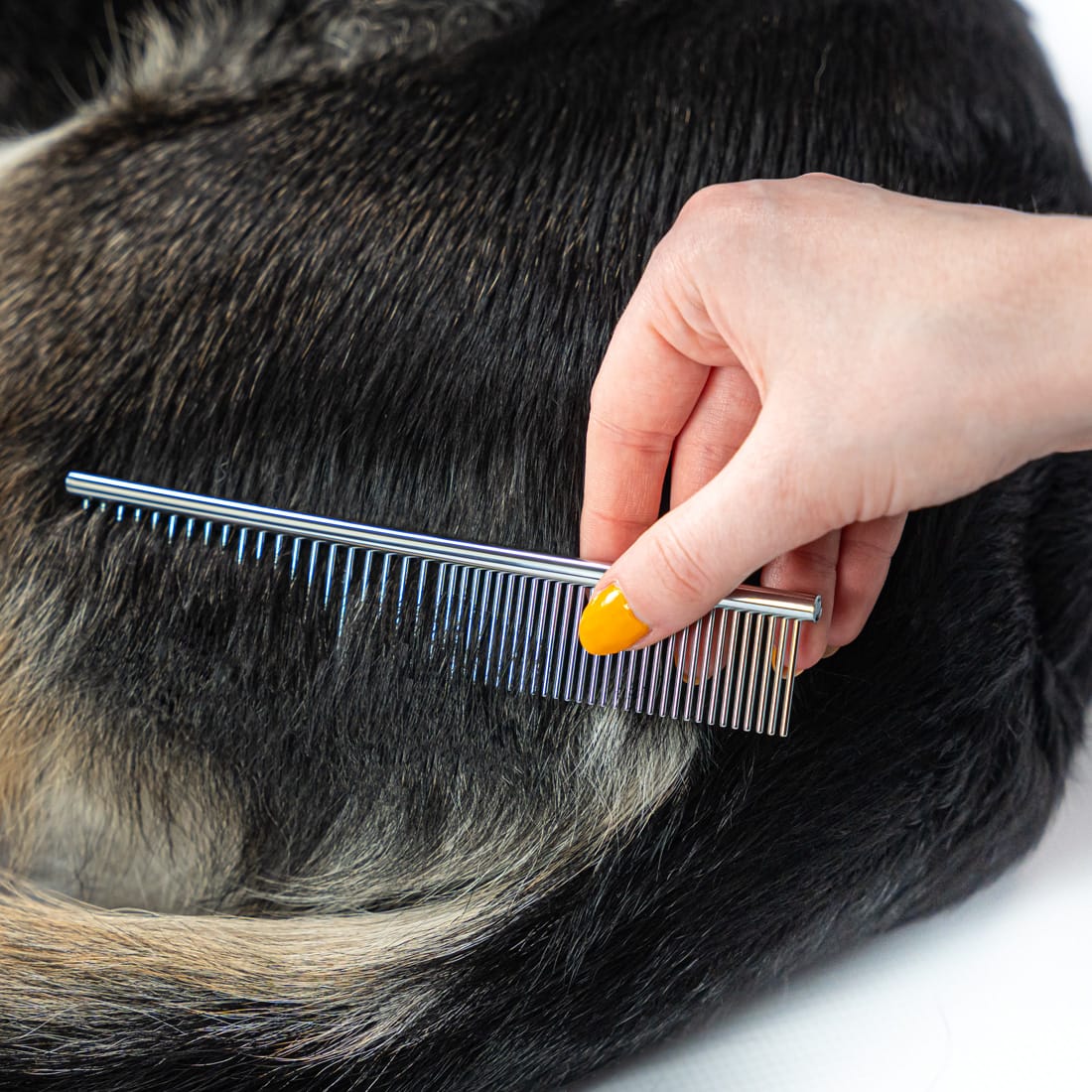 SREBRNE NOŻYCZKI do strzyżenia Psów ZESTAW do strzyżenia 3 rodzaje Nożyczek + Grzebień - obrazek 7