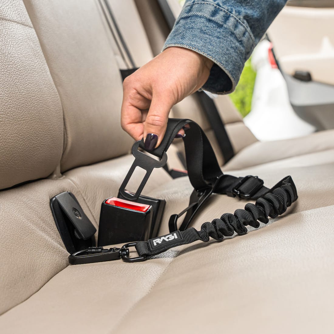 Smycz dla psa i kota, pasy bezpieczeństwa ISOFIX 2w1 do samochodu - obrazek 6