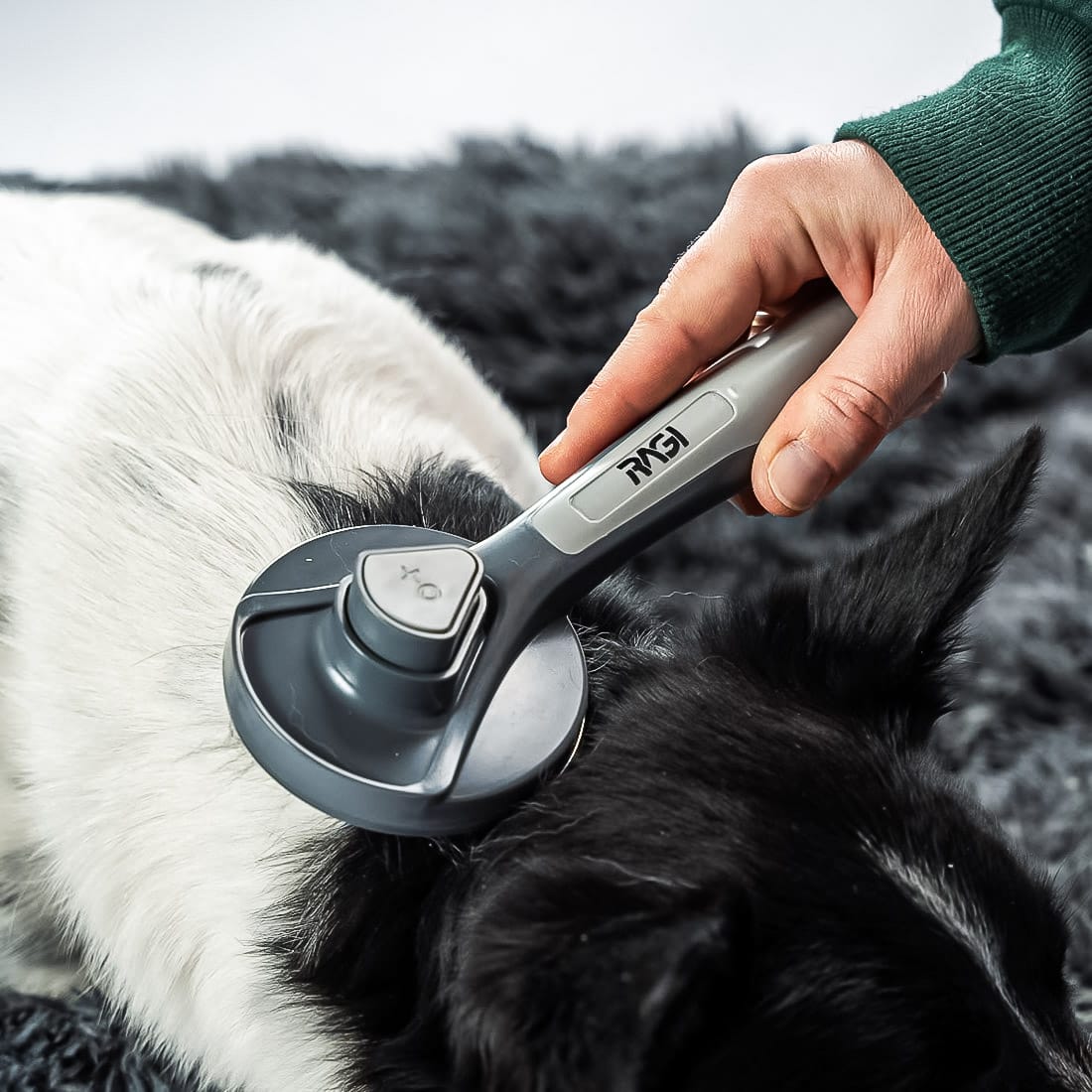 Szczotka samoczyszcząca do sierści dla psa, kota RAGI - obrazek 7