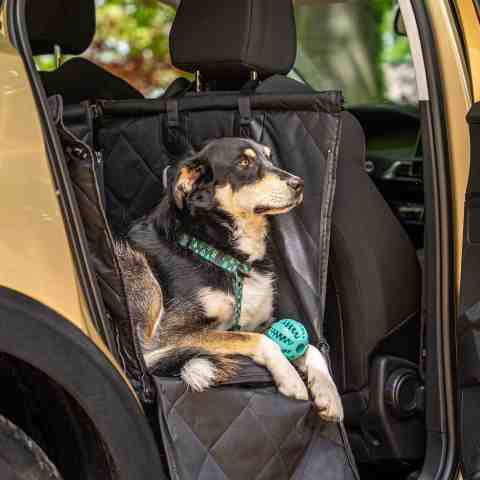 Alternative view of Czarny Fotelik Samochodowy Dla Psa Duży