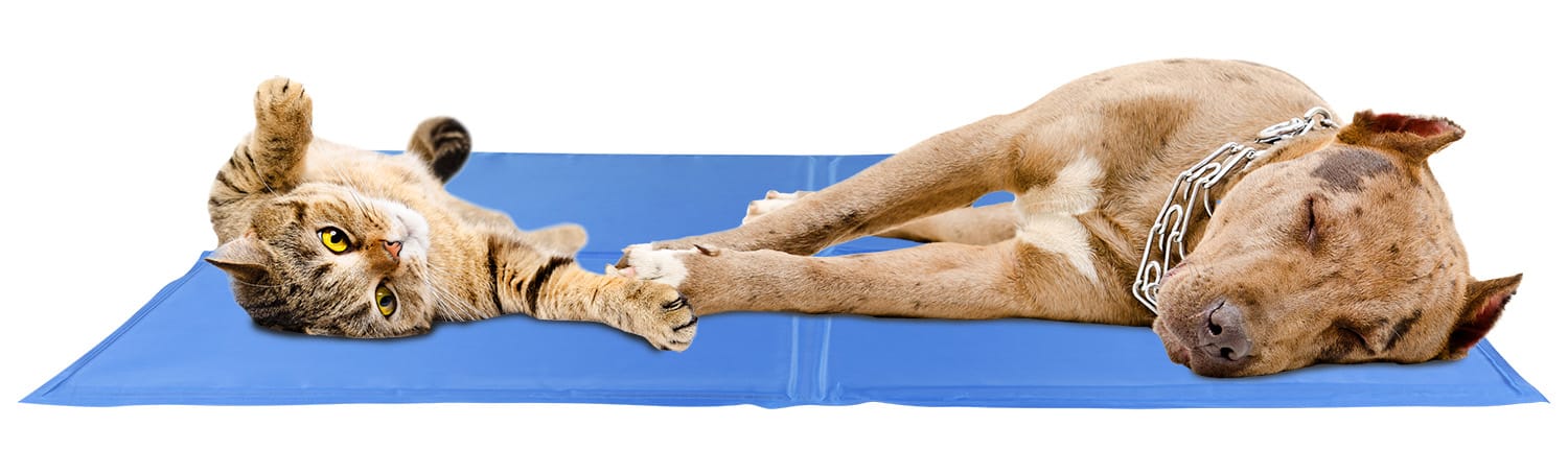 Żelowa mata chłodząca dla psów i kotów 96 x 81 cm - obrazek 2