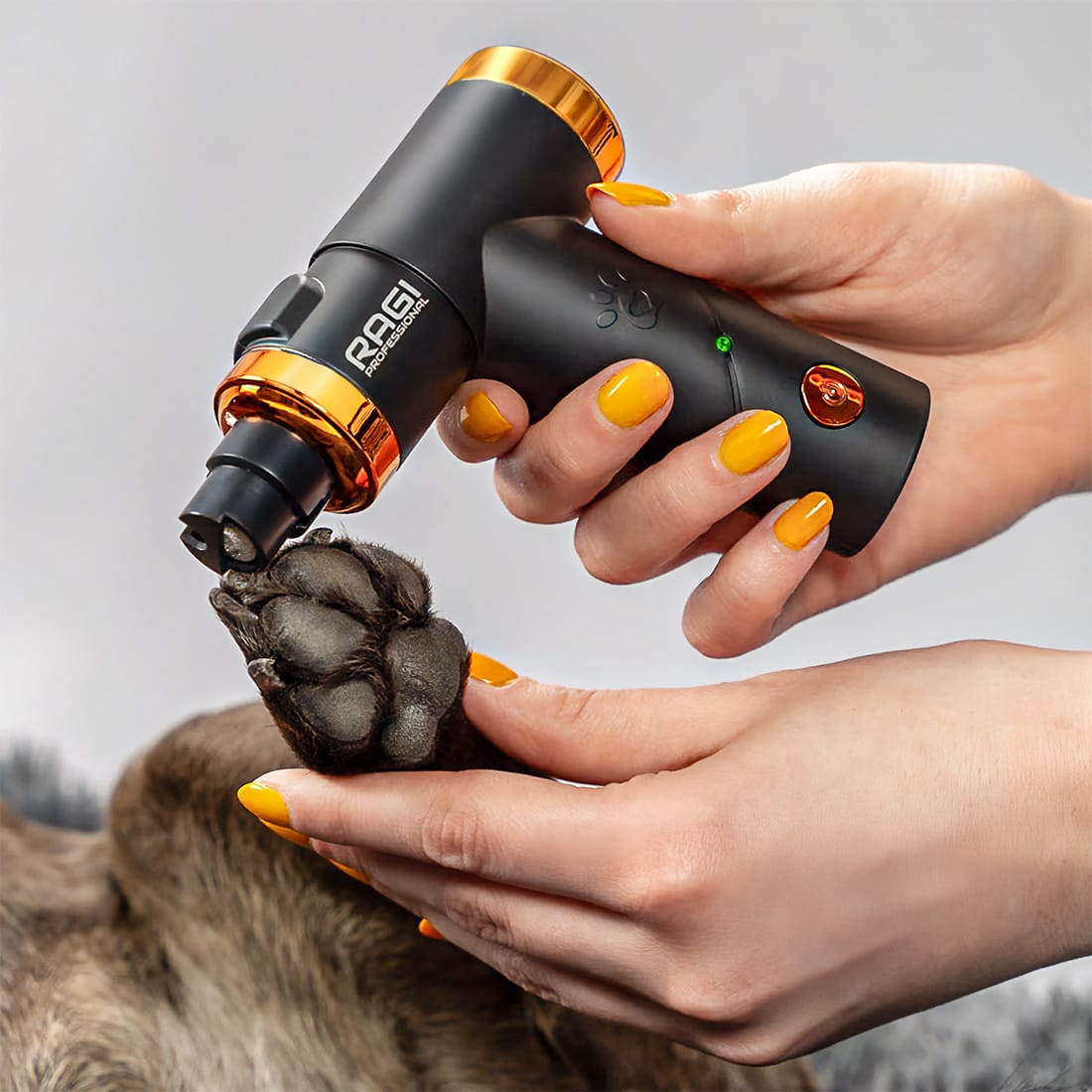 Elektryczny Pilnik do Pazurów dla Psów i Kotów - obrazek 2