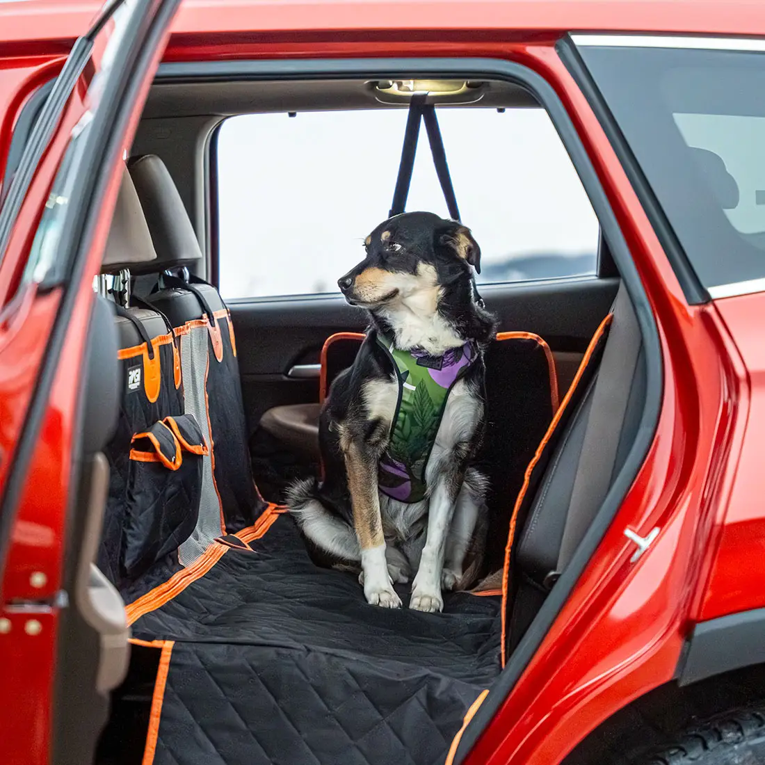Pokrowiec na siedzenia samochodowe dla psa, Wodoodporna mata ochronna 4w1 - obrazek 9