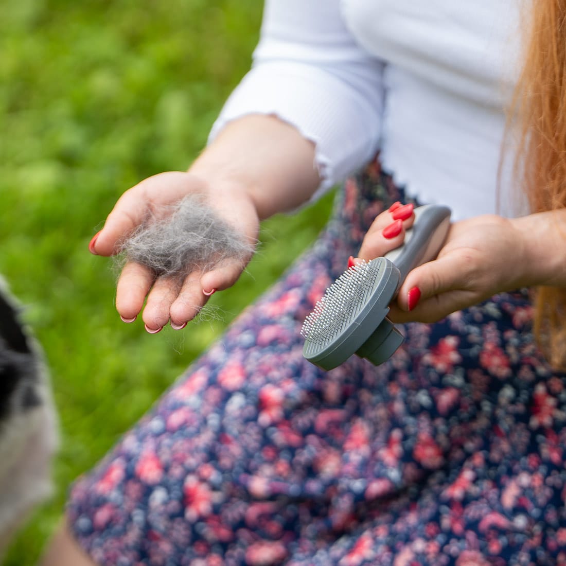 Szczotka samoczyszcząca do sierści dla psa, kota RAGI - obrazek 11