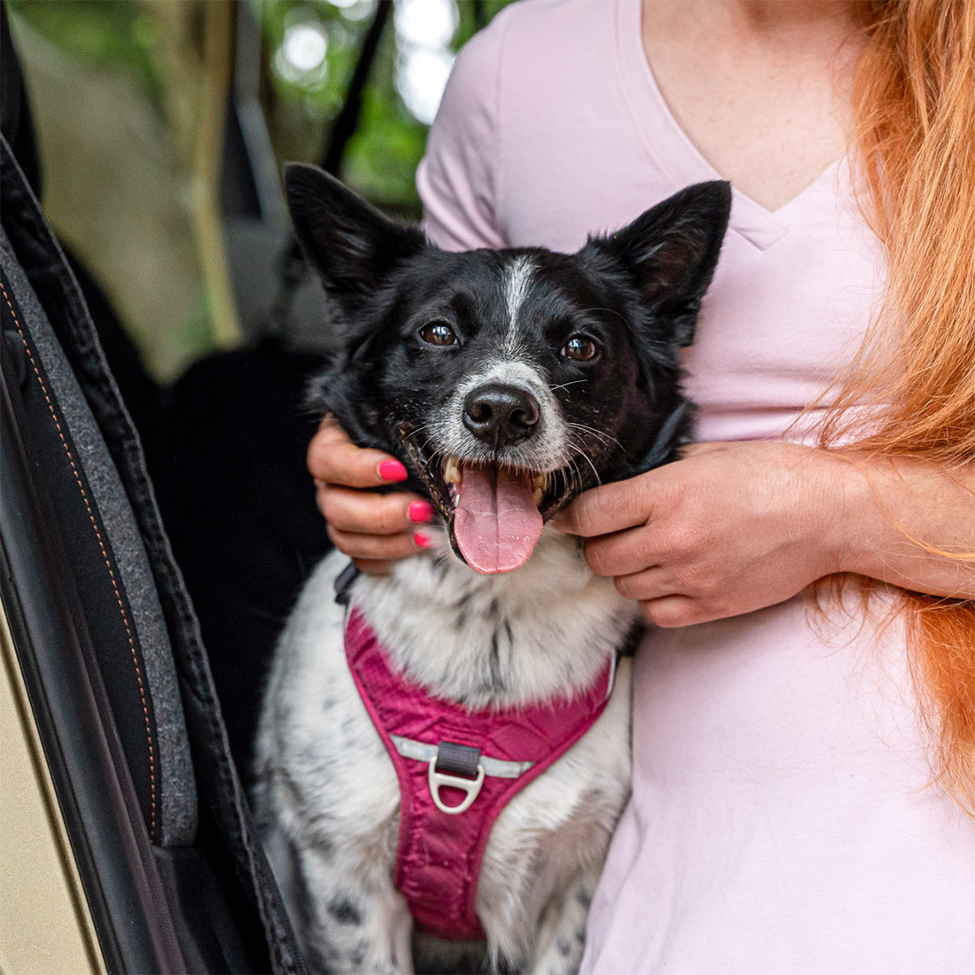 Wodoodporny Pokrowiec na Siedzenia do Samochodu dla Psa - obrazek 15