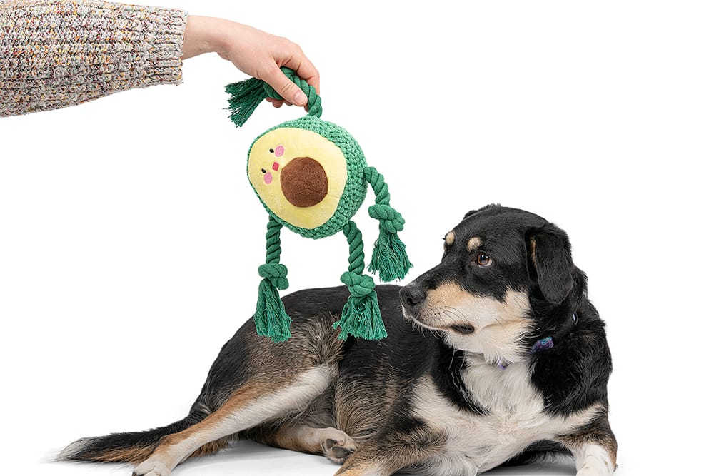 Pluszowe awokado z piszczałką dla psa - obrazek 6