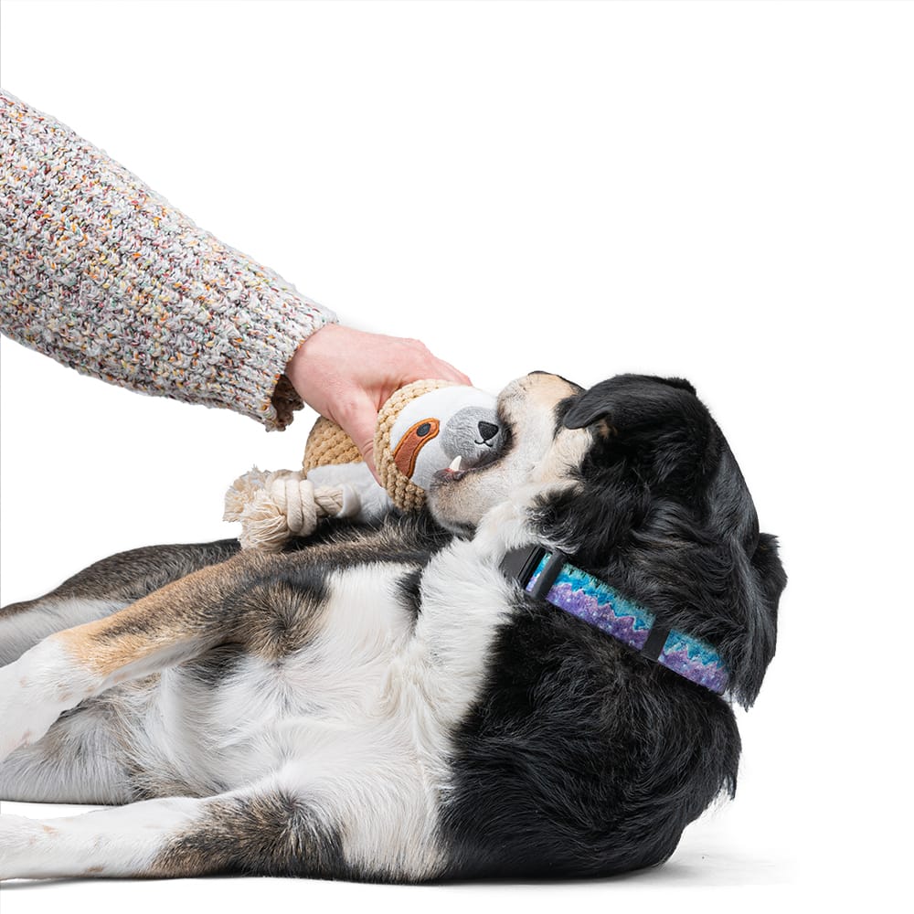 Pluszowy leniwiec z piszczałką dla psa - obrazek 6