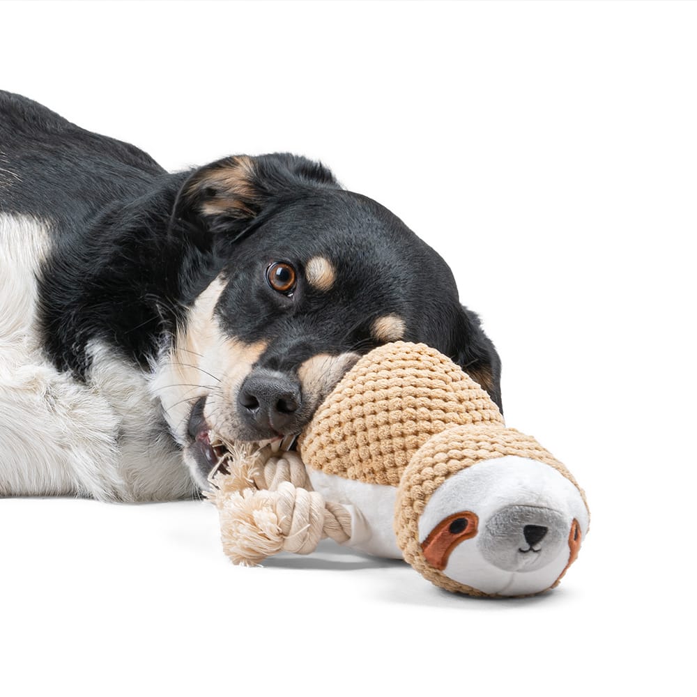 Pluszowy leniwiec z piszczałką dla psa - obrazek 4