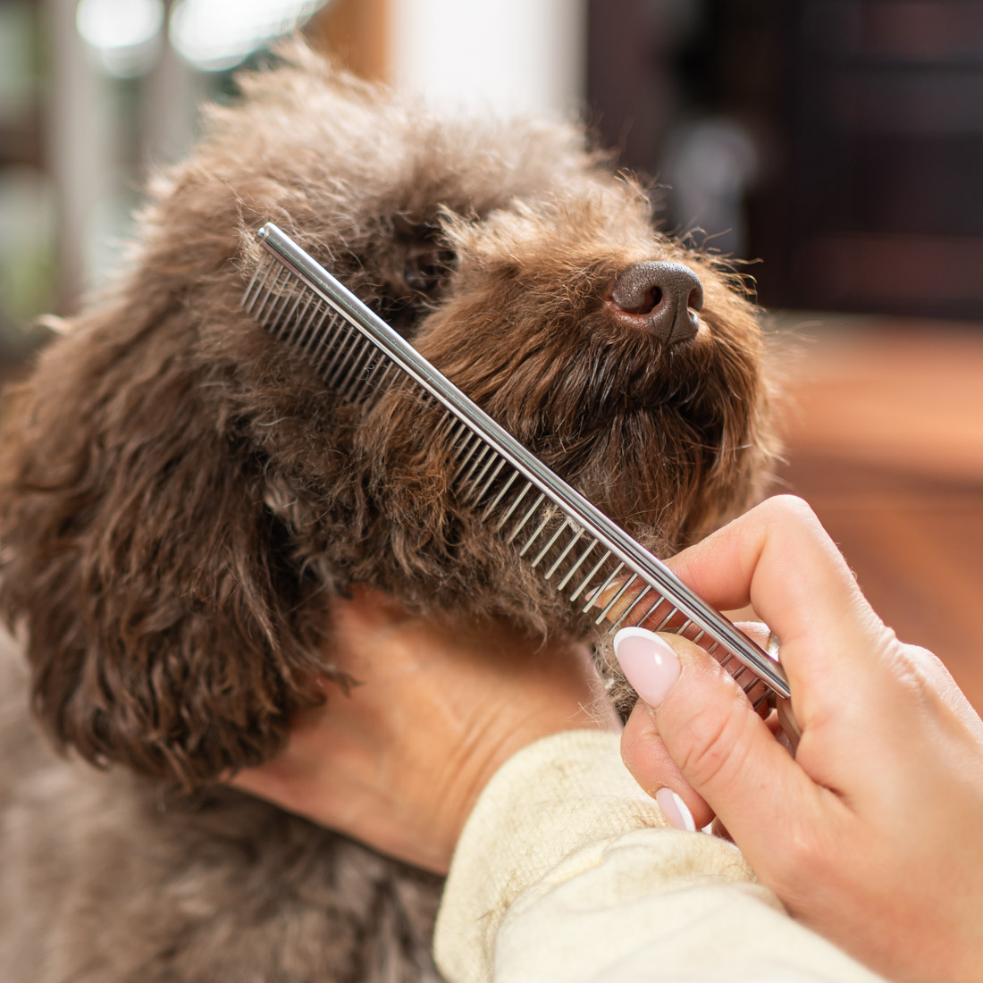Maszynka do strzyżenia psa RAGI Profesjonalna Cicha Bezprzewodowa - obrazek 14