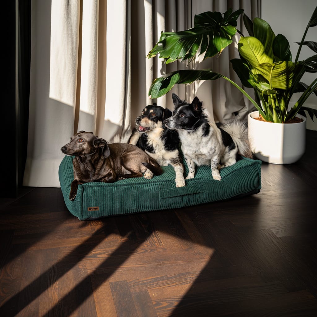 Legowisko dla psa Łóżko Materac Posłanie dla psa Zielone Rozmiary - obrazek 7