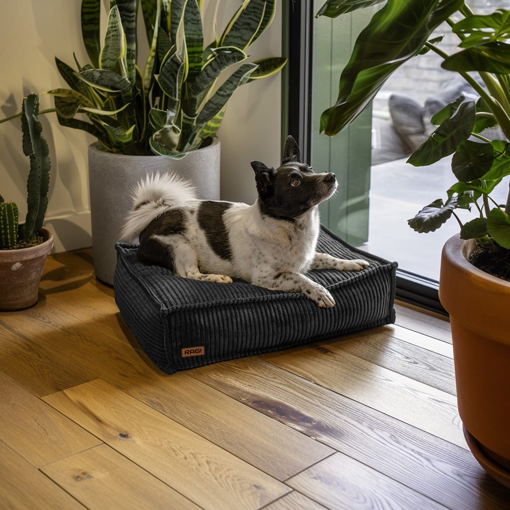 Legowisko dla psa Łóżko Materac Posłanie dla psa Grafitowe Rozmiary - obrazek 3