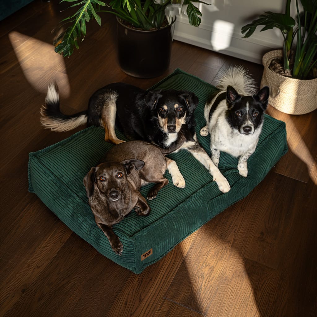 Legowisko dla psa Łóżko Materac Posłanie dla psa Zielone Rozmiary - obrazek 8