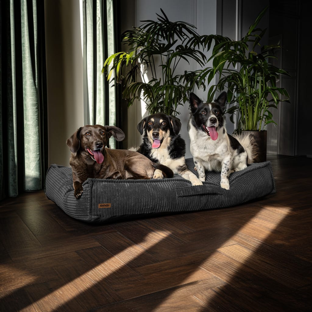Legowisko dla psa Łóżko Materac Posłanie dla psa Grafitowe Rozmiary - obrazek 9