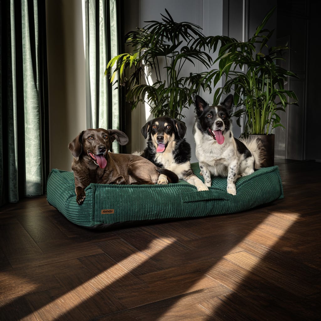 Legowisko dla psa Łóżko Materac Posłanie dla psa Zielone Rozmiary - obrazek 9