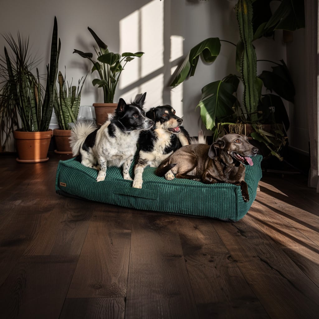 Legowisko dla psa Łóżko Materac Posłanie dla psa Zielone Rozmiary - obrazek 10