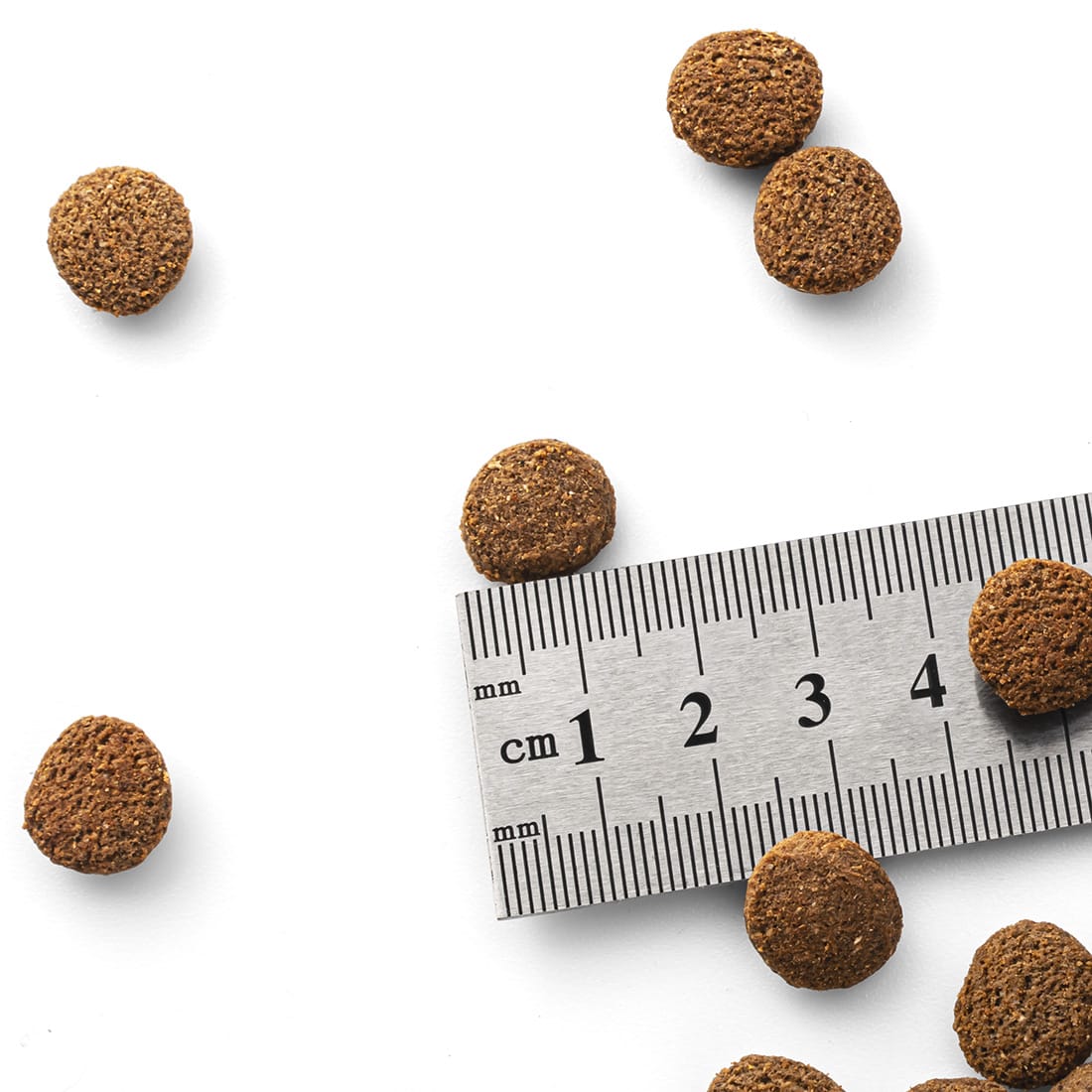 Syta Micha - Sucha Karma dla Psa Łosoś z pasternakiem i truskawką 9 kg - obrazek 4