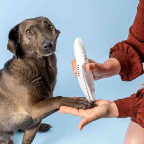 Alternative view of Trymer dla psa do łap z Odkurzaczem Bezprzewodowy z lampką LED i ładowaniem USB-C Maszynka do sierści Psa Kota