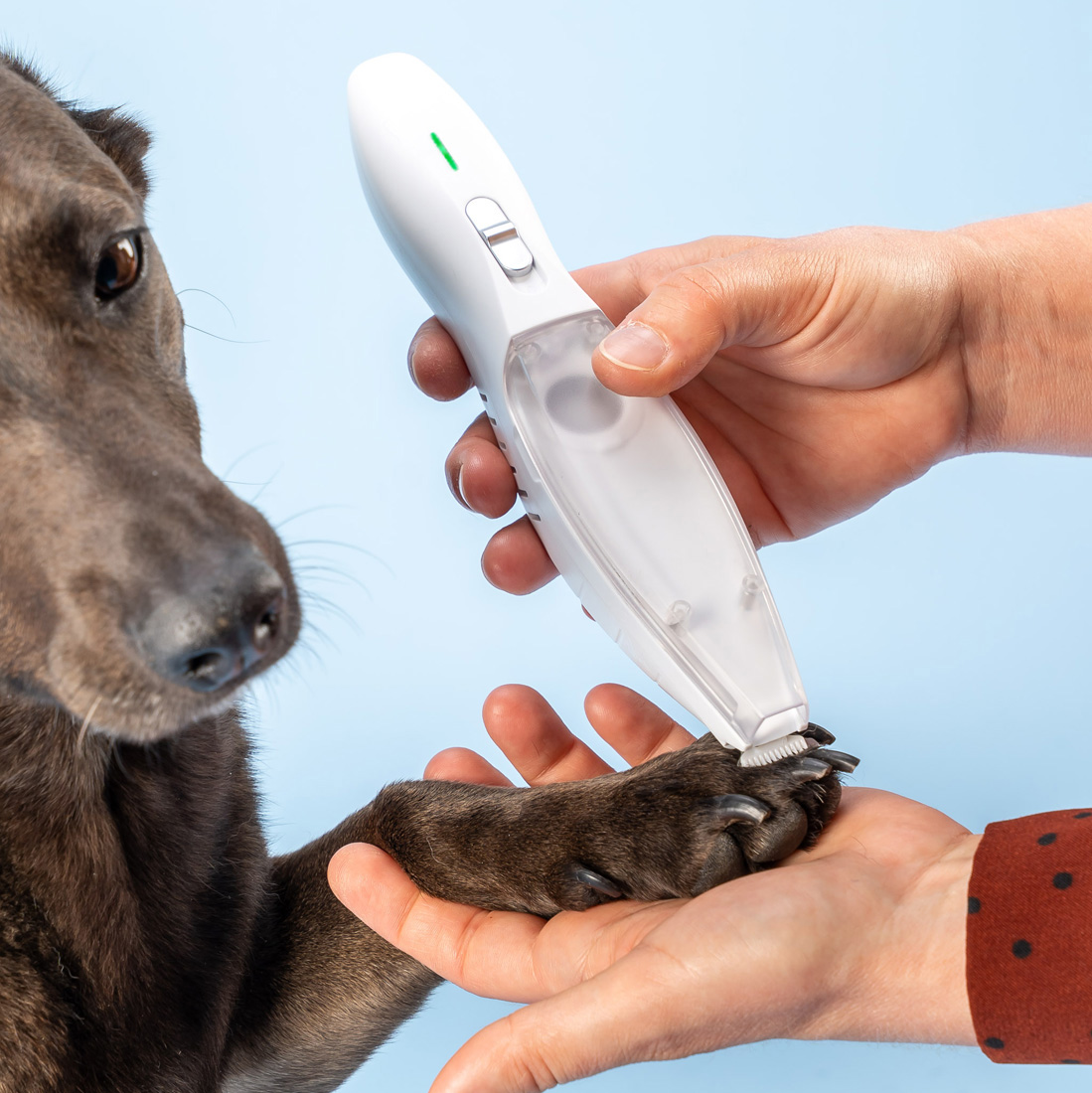 Trymer dla psa do łap z Odkurzaczem Bezprzewodowy z lampką LED i ładowaniem USB-C Maszynka do sierści Psa Kota - obrazek 7