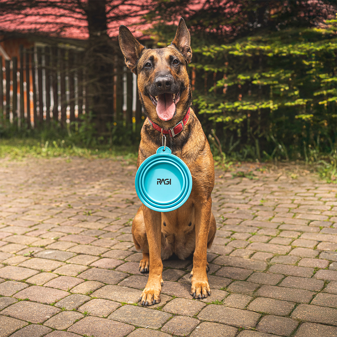 Miska dla psa składana turystyczna silikonowa podróżna 1L na wodę karmę - obrazek 5