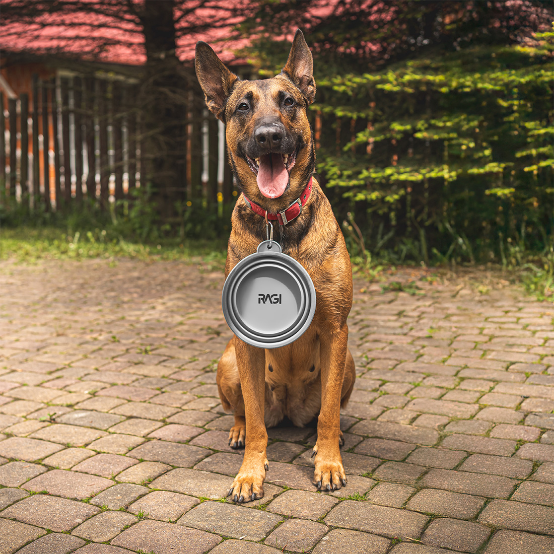 Miska dla psa składana turystyczna silikonowa podróżna 1L na wodę karmę - obrazek 5