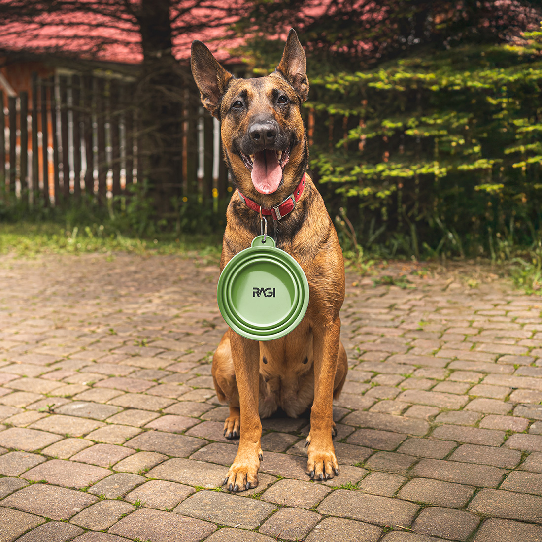 Miska dla psa składana turystyczna silikonowa podróżna 1L na wodę karmę - obrazek 5