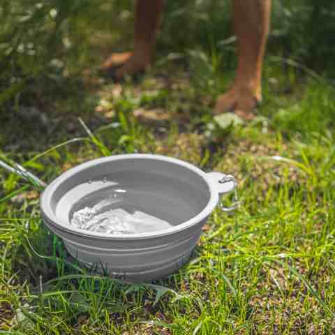 Alternative view of Miska dla psa składana turystyczna silikonowa podróżna 1L na wodę karmę