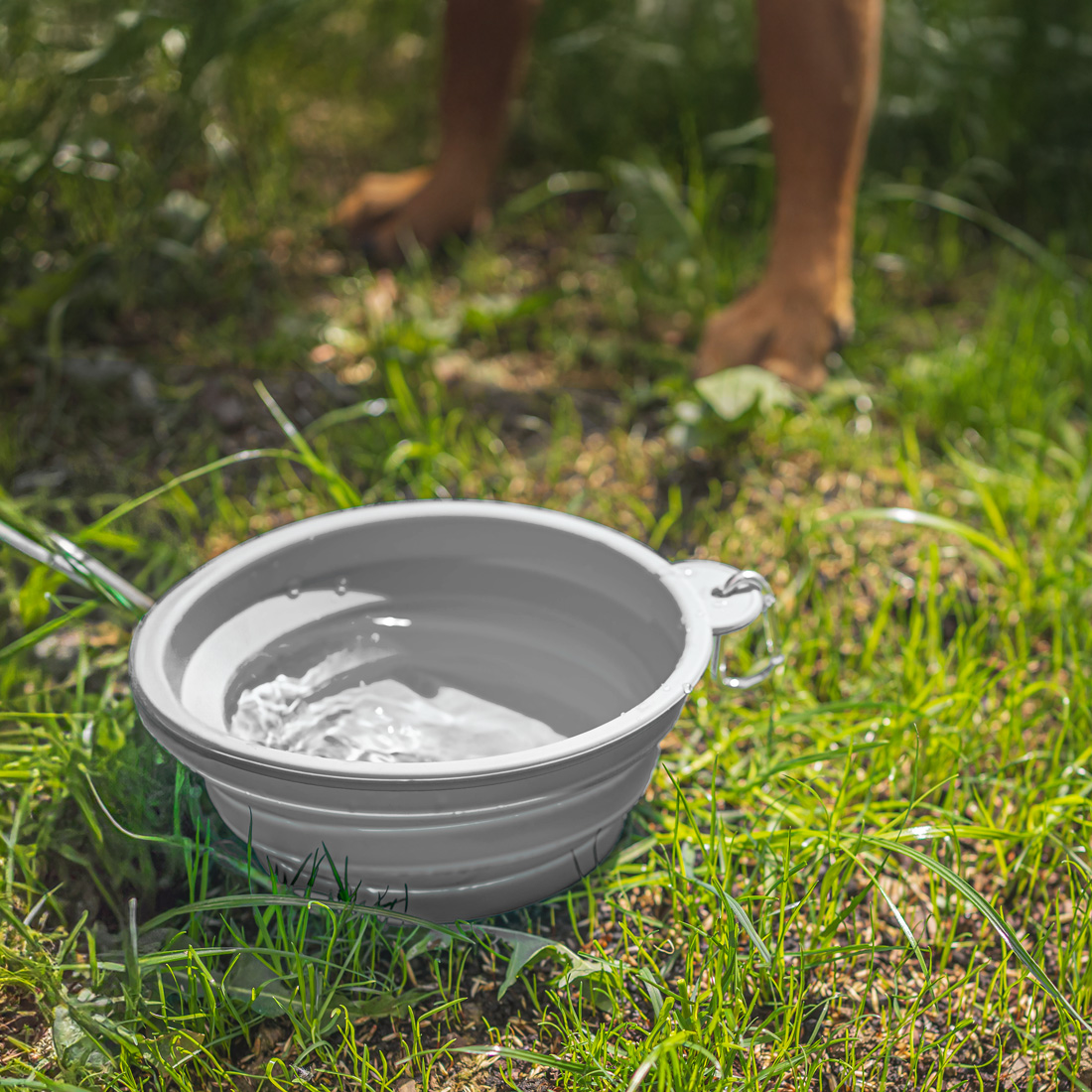 Miska dla psa składana turystyczna silikonowa podróżna 1L na wodę karmę - obrazek 2