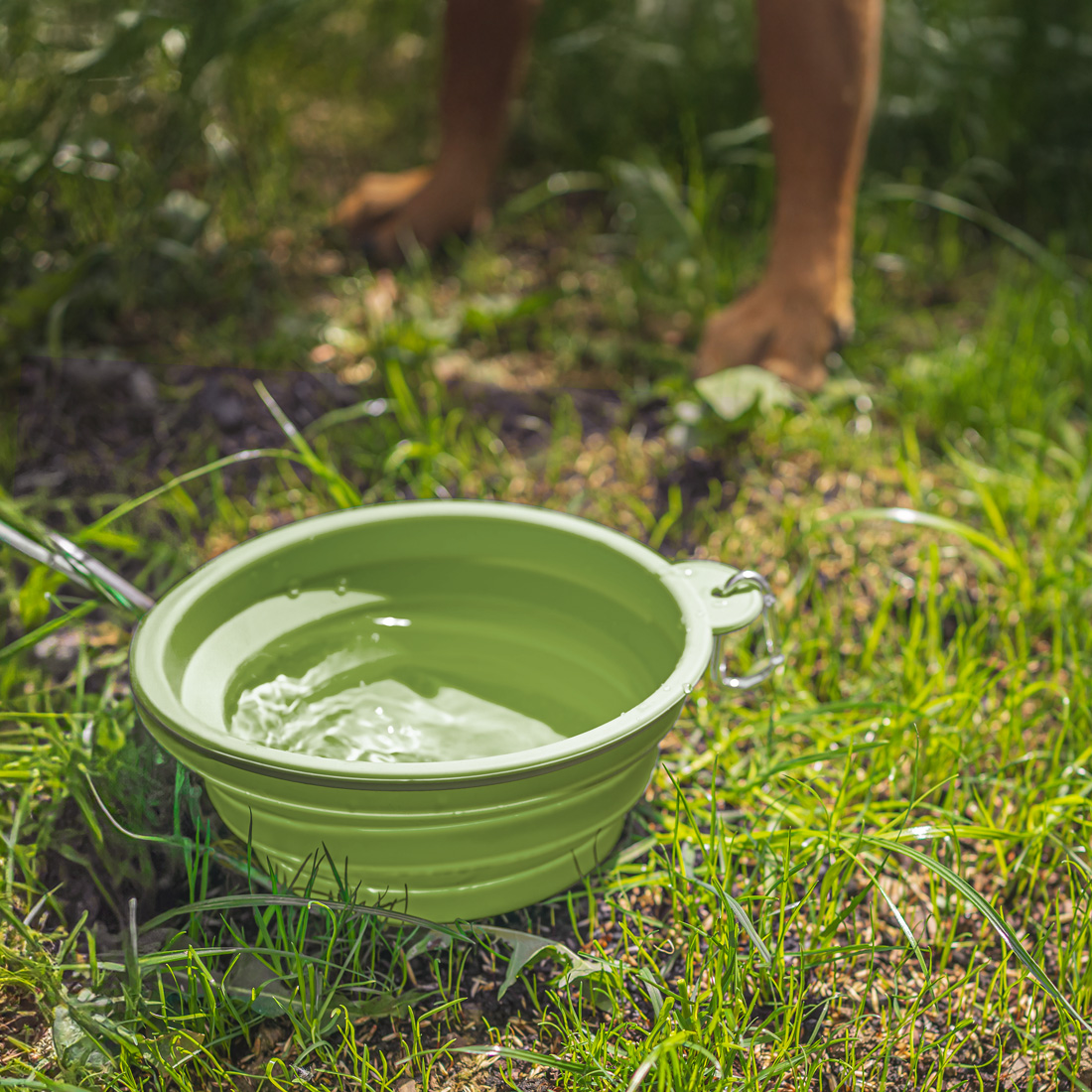 Miska dla psa składana turystyczna silikonowa podróżna 1L na wodę karmę - obrazek 2
